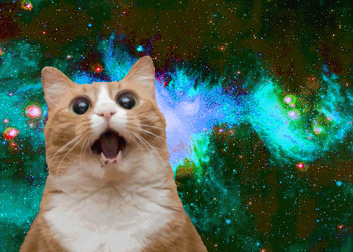 https://media.giphy.com/media/paMVbhw7bnZLi/giphy.gif