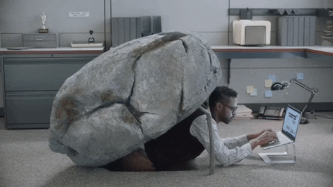 Under A Rock GIFs - Get the best GIF on GIPHY