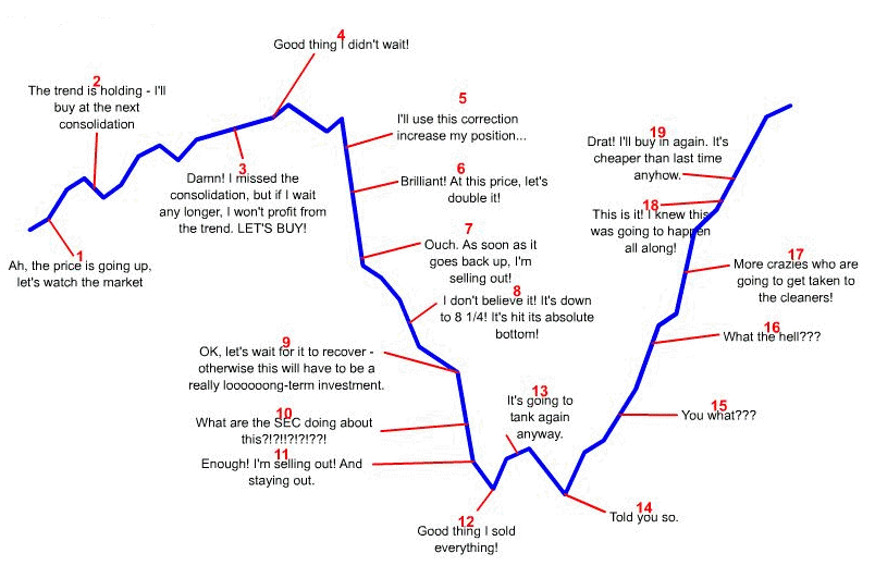 Investor Psychology Illustrated: Where Are We in the Cycle? ~ market folly