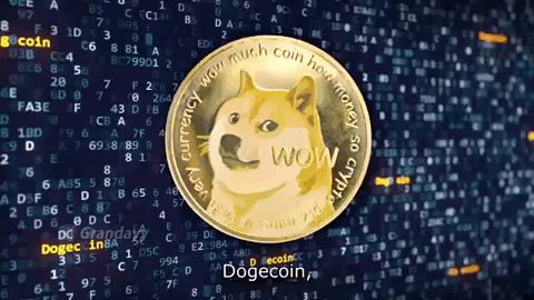 https://media.giphy.com/media/Qs1aGsytdmAg854JWN/giphy.gif