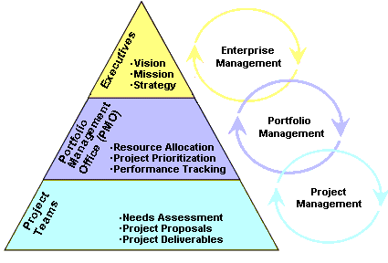 Function of the Project Portfolio Function of the Project Portfolio