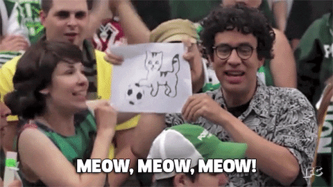 fred armisen meow GIF by IFC fred armisen meow GIF by IFC