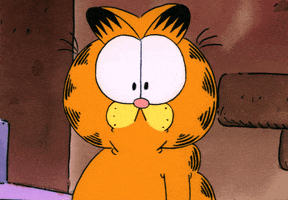 cat what GIF by Garfield cat what GIF by Garfield