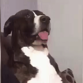 family gathering GIF family gathering GIF