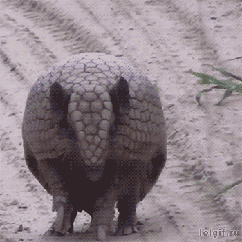 Embarrassed Red-Faced GIF