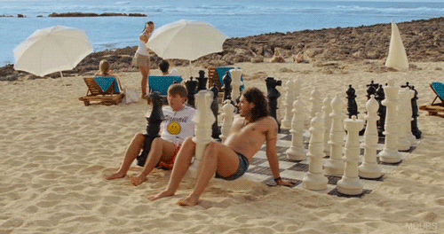 Chess GIF Chess GIF