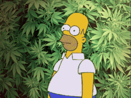 weed GIF weed GIF