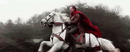 White Horse GIFs | Tenor