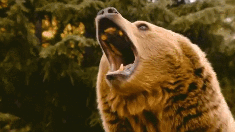 https://media.giphy.com/media/kleeBtj07a8Hm/giphy.gif https://media.giphy.com/media/kleeBtj07a8Hm/giphy.gif