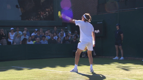 Fail Mens Tennis GIF by Wimbledon - Find & Share on GIPHY Fail Mens Tennis GIF by Wimbledon - Find & Share on GIPHY