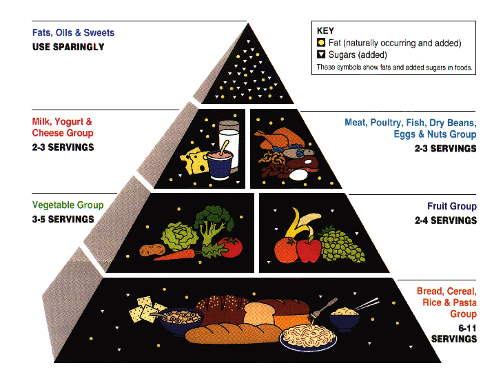 The USDA Food Pyramid by Richard Anglin
