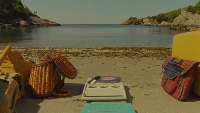 Moonrise Kingdom - tabby kitten peeking out of fishing basket on beach Moonrise Kingdom - tabby kitten peeking out of fishing basket on beach