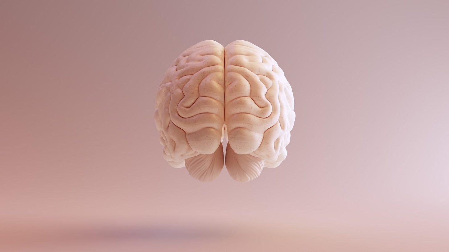 Floating human brain Floating human brain