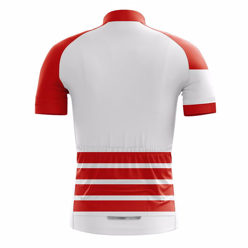 pro fit cycling jersey