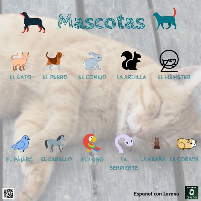 Vocabulario Los Animales