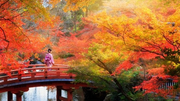 Autumn in Japan Autumn in Japan
