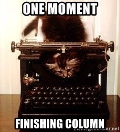 Milo, Kitten Writer - One moment finishing column Milo, Kitten Writer - One moment finishing column