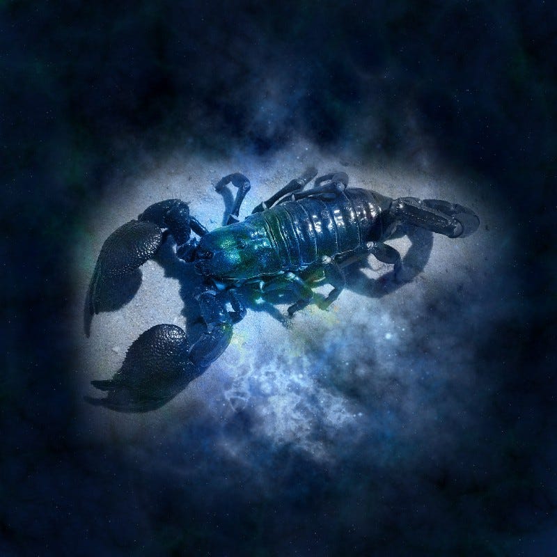 Asshole Astrology — Horoscopes for horrible people Asshole Astrology — Horoscopes for horrible people