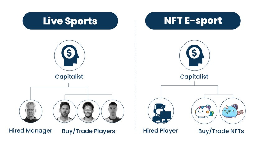 Cấu trúc Thể thao trực tiếp và Thể thao điện tử NFT