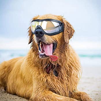 Samtlan Dog Goggles, Dog Sunglasses for Medium Large Dogs, Glasses Puppy Eyewear Windproof UV Protection, Vet Recommended Eye Protection by (Black): Amazon.co.uk: Pet Supplies