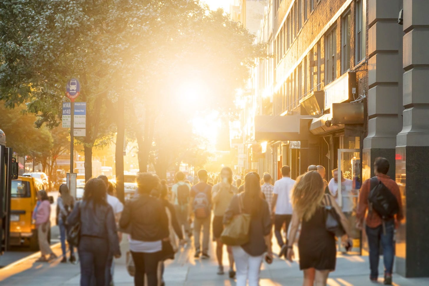 Many people walking on a city street, with sunlight bursting through a tree