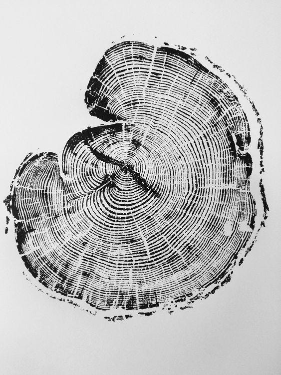 tree ring woodcut art, made from a real tree - Linton Art