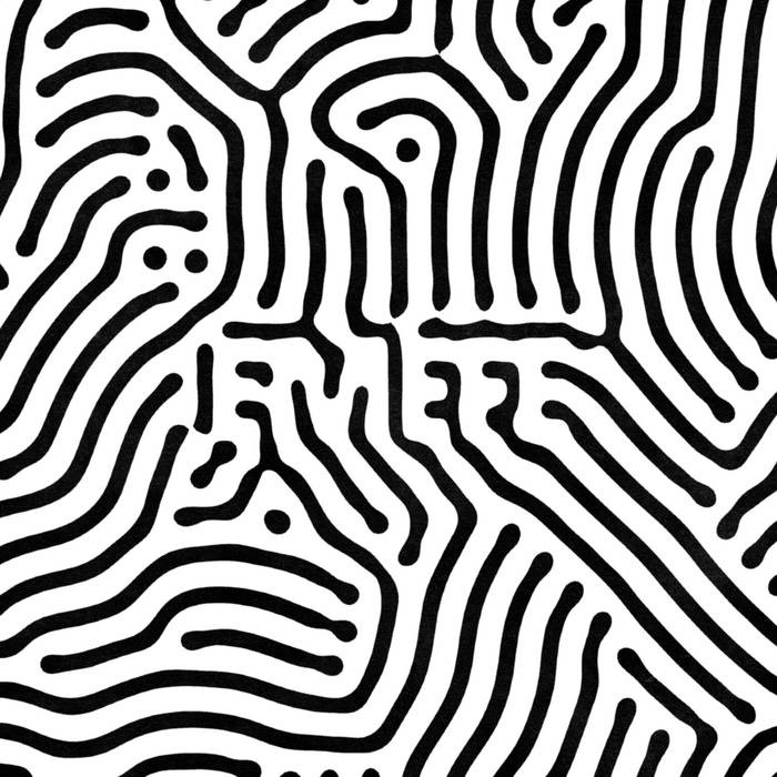 A very classic reaction-diffusion patter, in the middle of which the letters "EMEFE" are visible in negative space. A very classic reaction-diffusion patter, in the middle of which the letters "EMEFE" are visible in negative space.