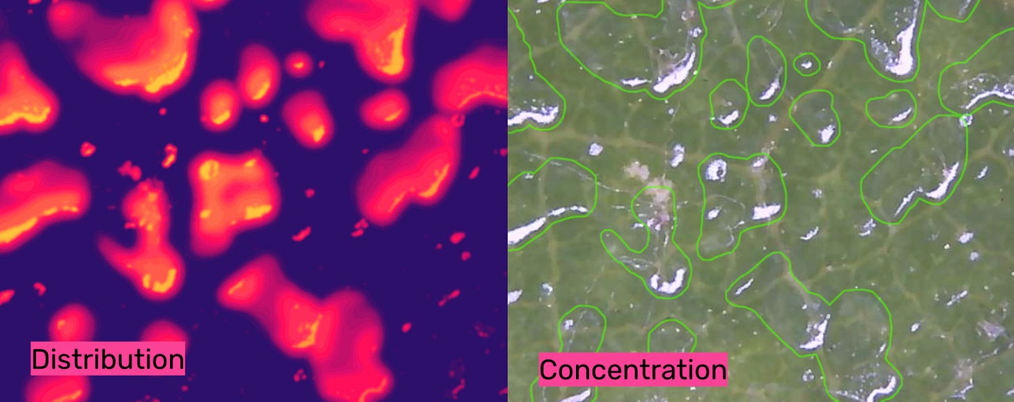 Immagini ad alto ingradimento usate nella nostra soluzione di computer vision per l'agricoltura