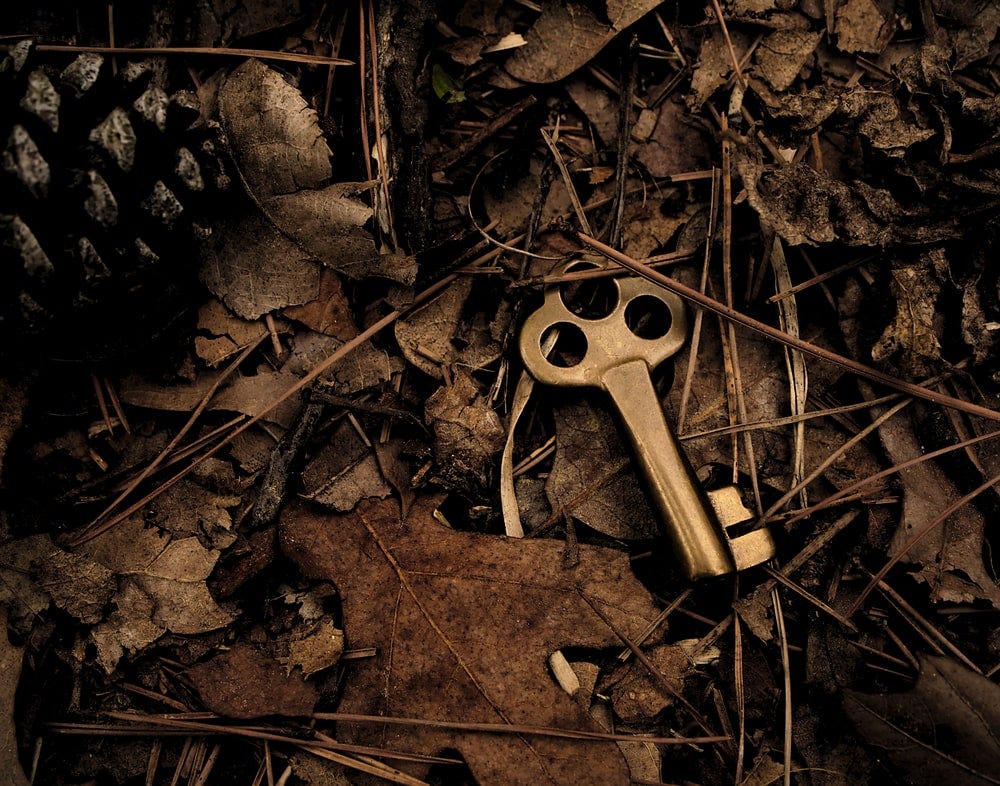skeleton key surround with dry leaves skeleton key surround with dry leaves