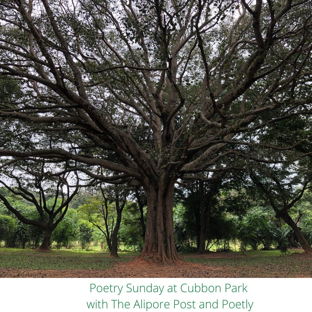 Is cubbon park safe for lovers?