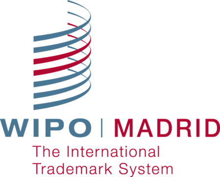 Image result for madrid protocol