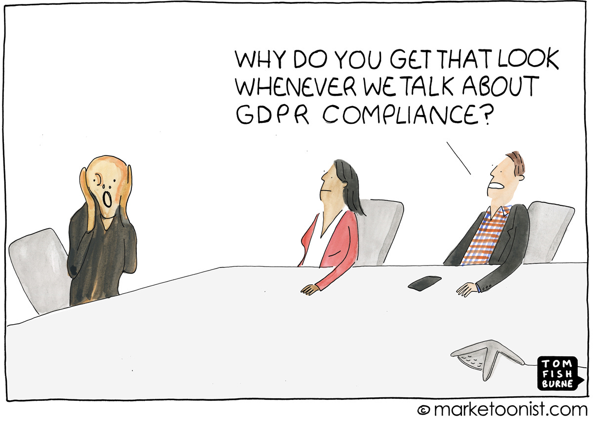 Marketing Data and GDPR Compliance cartoon | Marketoonist | Tom Fishburne