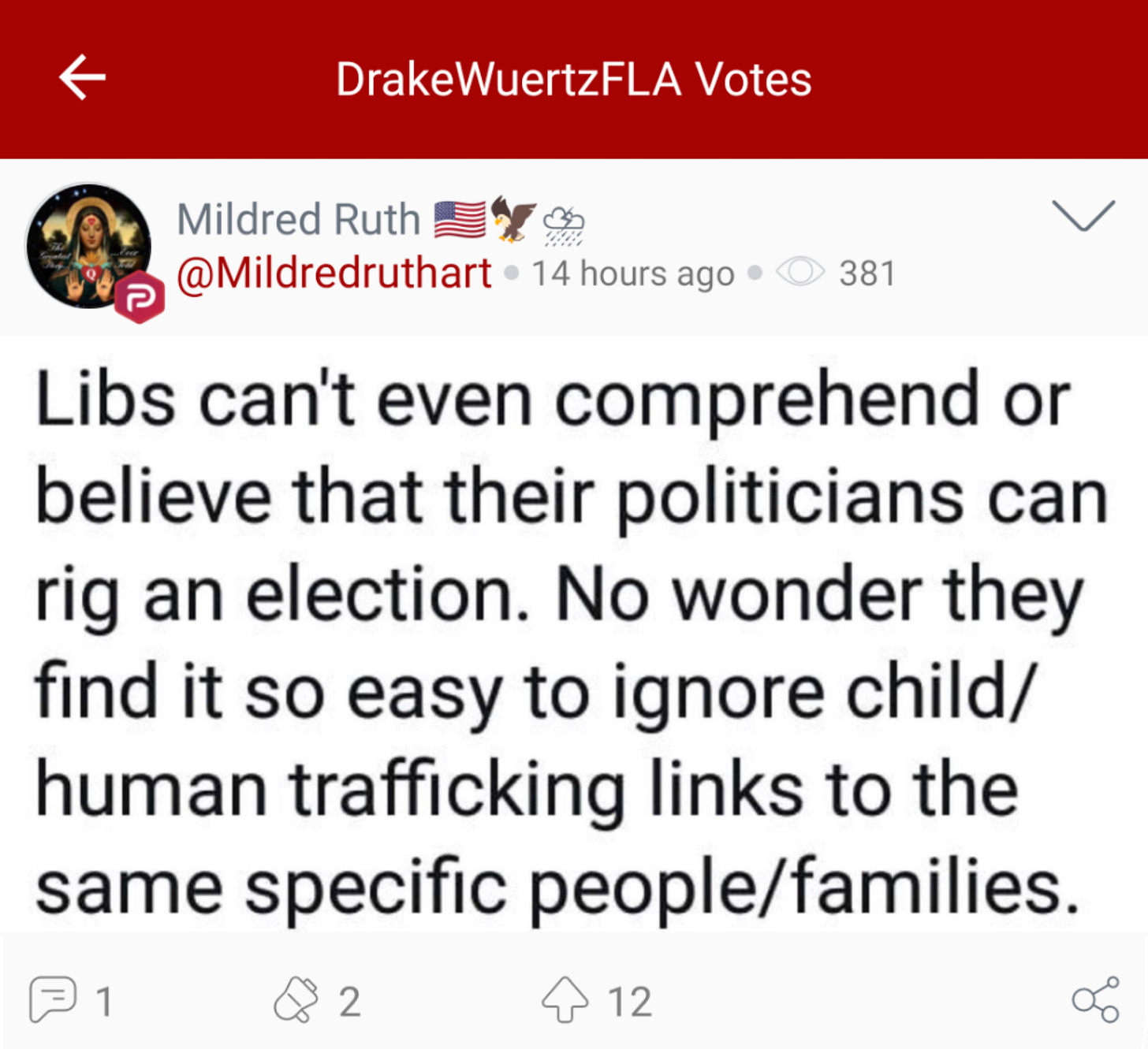 @DrakeWuertzFLA “votes” a Parler post attempting to connect baseless election fraud conspiracy theories with baseless “liberal pedophile” conspiracy theories. (Image: Parler screenshot.)