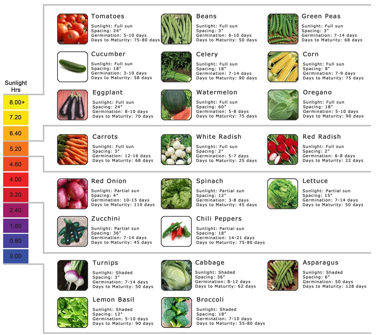 sunlight requirement for various hydroponic crops sunlight requirement for various hydroponic crops