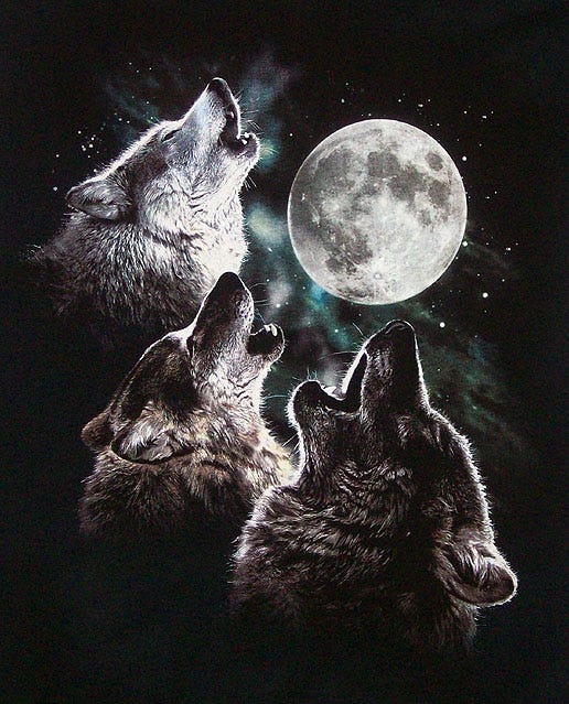 3 wolf heads howl at the full (wolf?) moon