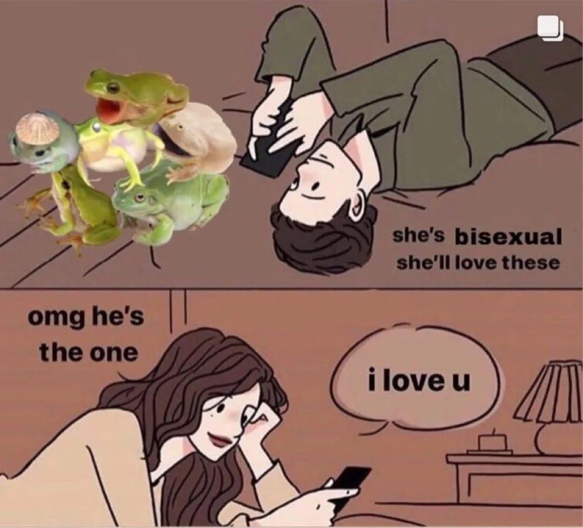 big gay meme frog