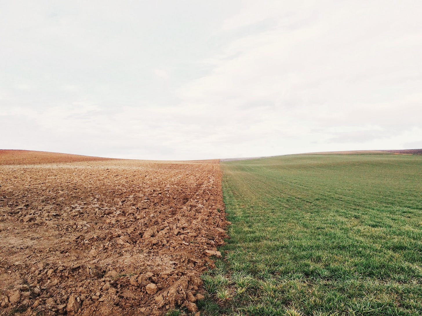 Brown and green fields