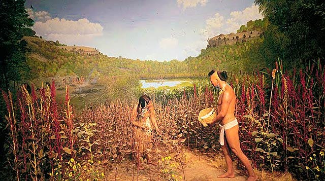 Today's Seeds | Dance For All People