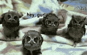 shoes judging you GIF shoes judging you GIF
