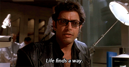 In Jurassic Park, Jeff Goldblum says, "Life finds a way." [gif]