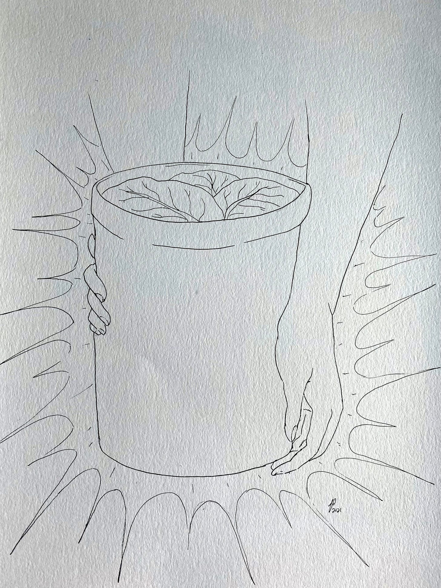 Fermenting cabbage leaves in a fermentation crock with hands Fermenting cabbage leaves in a fermentation crock with hands
