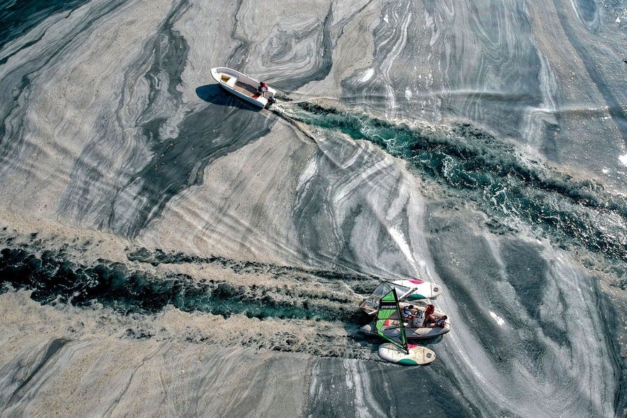 Two small boats are piloted through a slimy patch of mucilage on the surface of a harbor. Two small boats are piloted through a slimy patch of mucilage on the surface of a harbor.