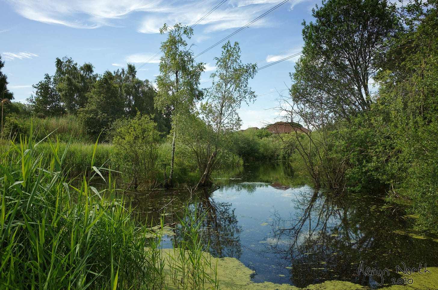 20200712-1045-03-pond-jacksons-brickworks-by-Aeryn-North.jpg