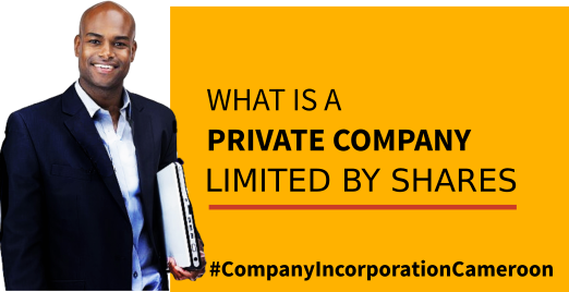 What Is A Private Company Limited By Shares