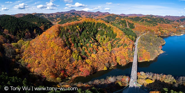 Autumn aerial in Japan