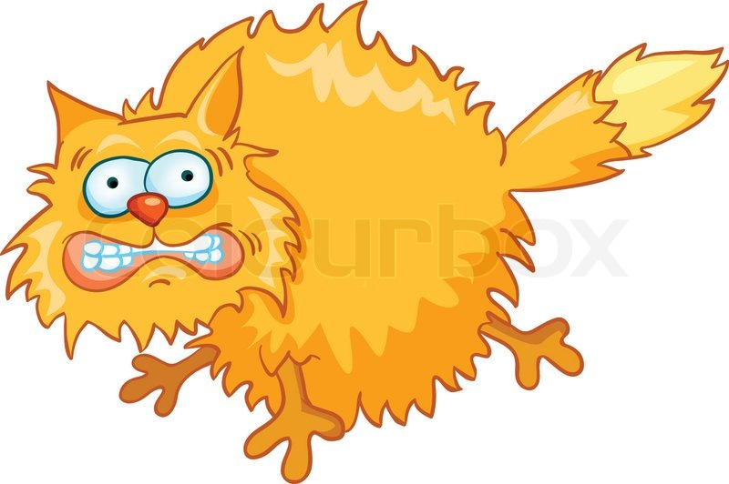Cartoon Character Cat Isolated on ... | Stock vector | Colourbox