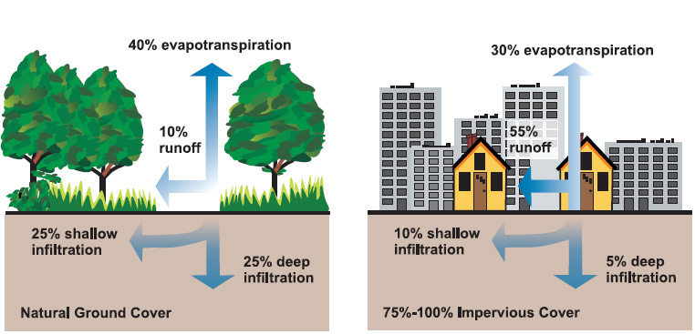 Two infographics from the Democracy Collaborative report on green infrastructure show the difference in storm water management with natural ground cover (illustrated as soil, grass, and trees) and impervious cover (illustrated as dirt, asphalt, and homes and office buildings). The image on the left, illustrating natural ground cover, shows 25% of storm water goes to deep soil infiltration, 25% goes to shallow infiltration, 10% goes to runoff, and 40% goes to evapotranspiration. The image on the right, demonstrating what happens to storm water with 75-100% of ground covered by impervious surfaces, shows 5% deep infiltration, 10% shallow infiltration, 55% runoff, and 30% evapotranspiration. 