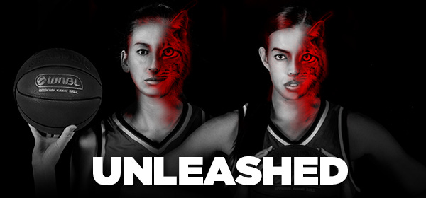 Lynx_Perth Lynx_Perth