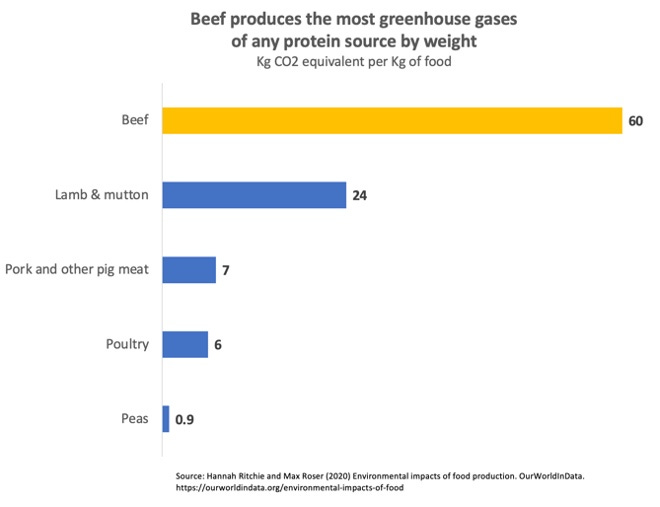 Bar graph Bar graph