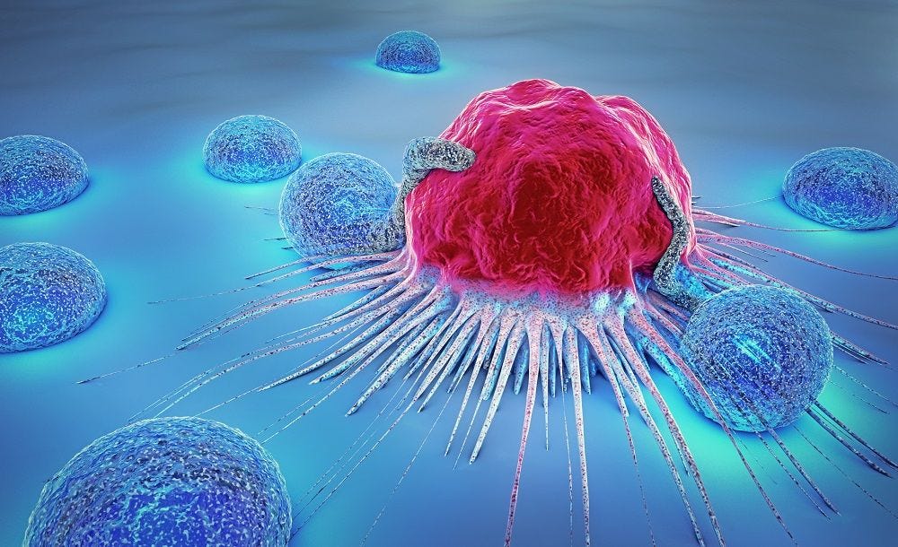 Our aging immune system explains cancer, not genetic ... Our aging immune system explains cancer, not genetic ...